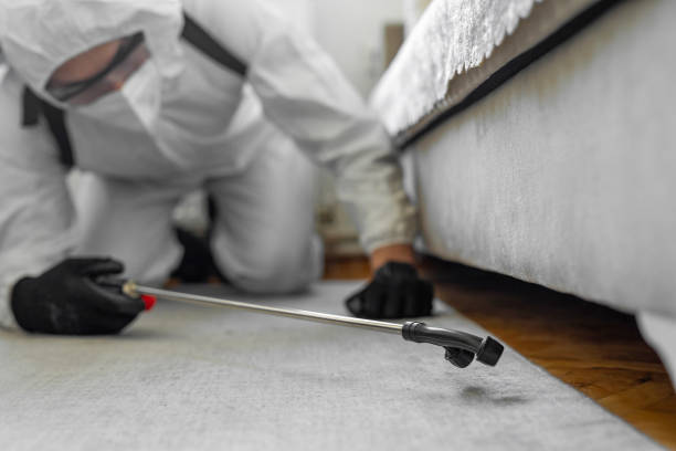 Professional Ant Control technician working in Moulton, AL