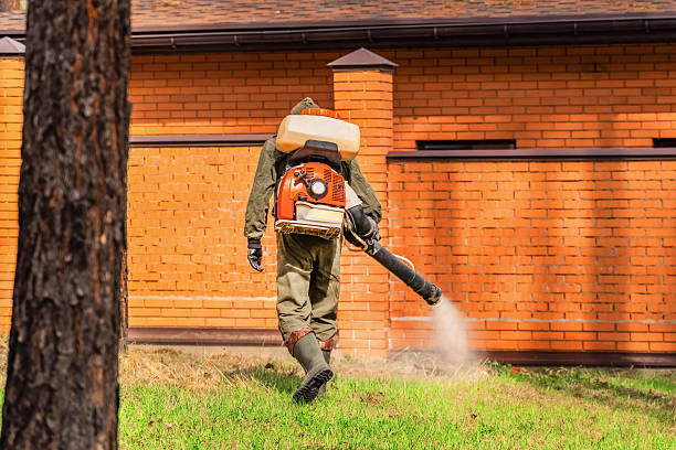 Trusted Bed Bug Control service in Moulton, AL - Nex Pest Control